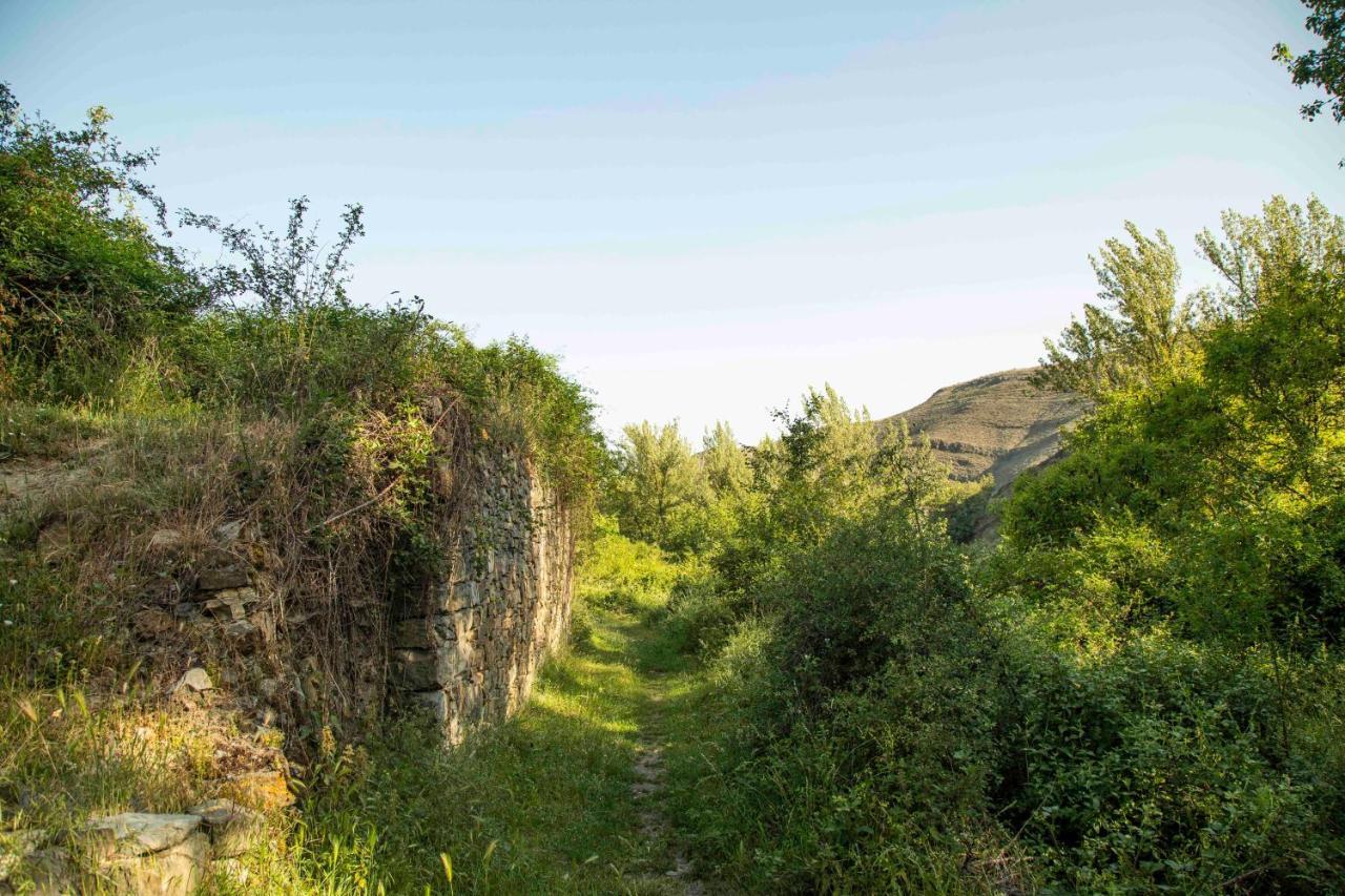 Casa Rural El Huerto De La Fragua Pensionat Enciso Exteriör bild