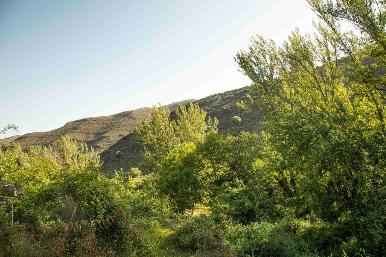 Casa Rural El Huerto De La Fragua Pensionat Enciso Exteriör bild