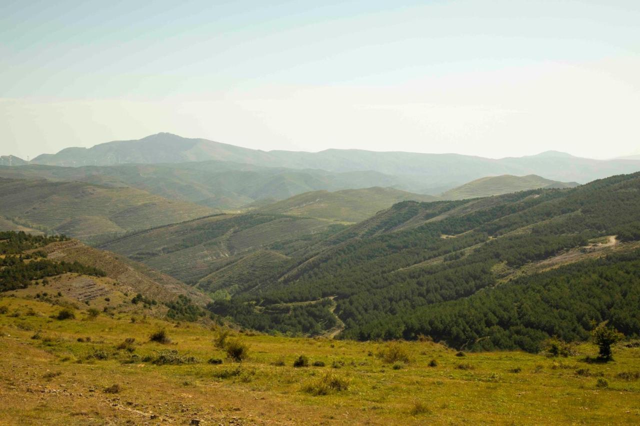 Casa Rural El Huerto De La Fragua Pensionat Enciso Exteriör bild