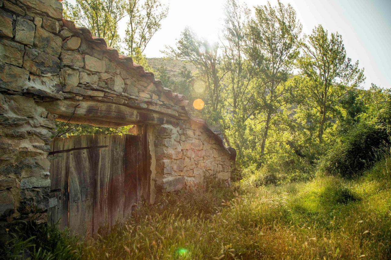 Casa Rural El Huerto De La Fragua Pensionat Enciso Exteriör bild