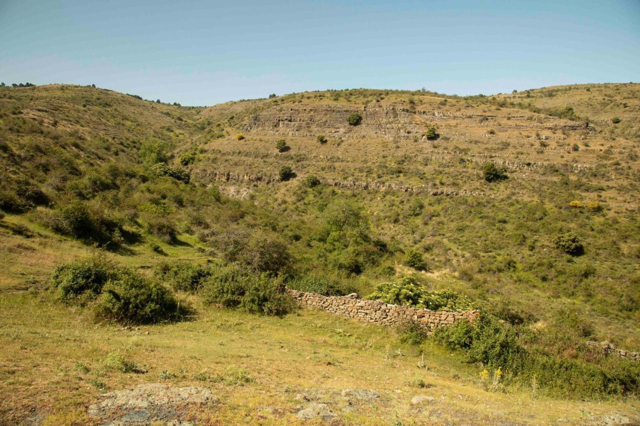 Casa Rural El Huerto De La Fragua Pensionat Enciso Exteriör bild